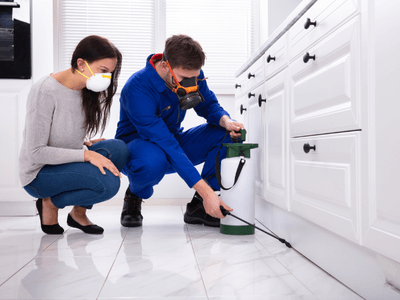 About Bed Bug Removal Pros - bed bug removal watchung nj experts in Watchung